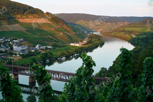Preview: Early morning view of the tranquil river Moselle cutting through a lush valley