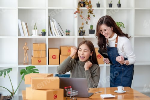 Preview: Small business owner wearing an apron is successful selling online using laptop computer. Happy two