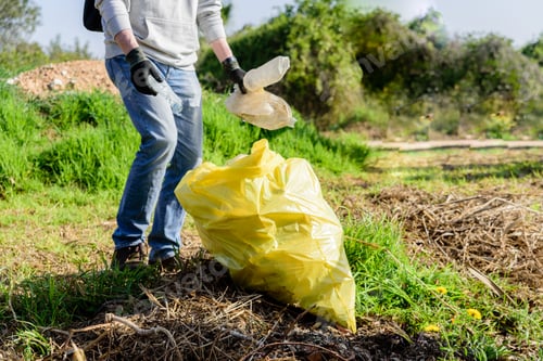 Preview: Ecological volunteers cleaning the contaminated field from plastic bottles.
