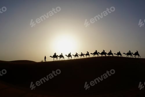Preview: Camels in the Sahara