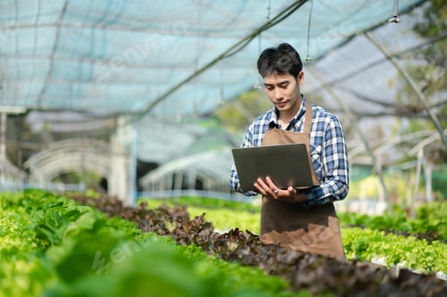 Preview: Asian man farmer looking organic vegetables and holding tablet for checking orders or quality farm