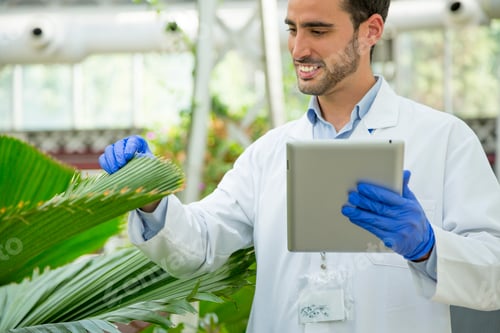 Preview: Worker checking leaves of a plant while using a tablet