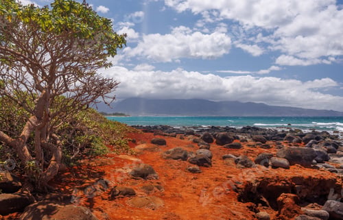 Preview: Hawaii landscape with ocean and red sand