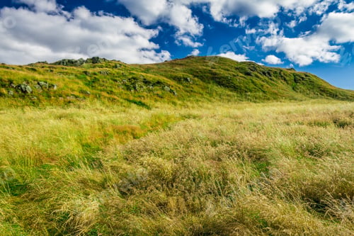 Preview: Green hills in Scotland in summer