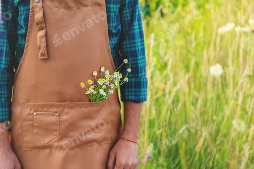 Preview: A man collects medicinal herbs in a field. Selective focus.