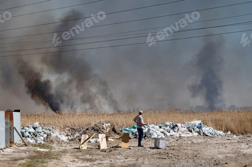 Preview: A forest fire on the stubble of a wheat field after harvesting near the forest. Burning dry grass