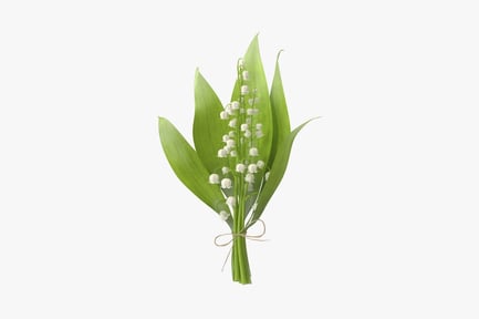 Preview: Lily of the Valley Floral Bouquet with Tied Stem