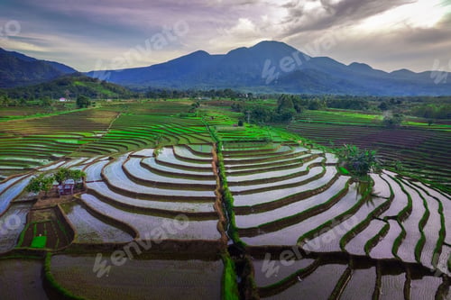 Preview: beautiful morning view from Indonesia of mountains and tropical forest