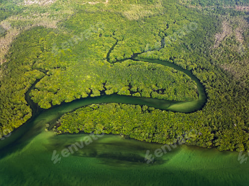 Preview: Aerial top down view of Koh Prathong Island, Thailand mangrove forest background texture