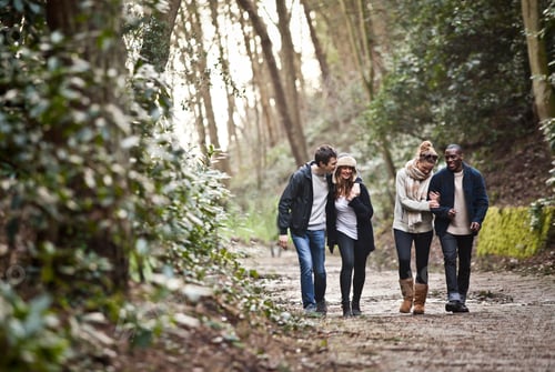 Preview: Group of friends enjoying a walk in a forest trail.