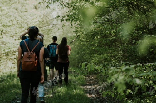 Preview: Friends hiking in the forest near a mountain