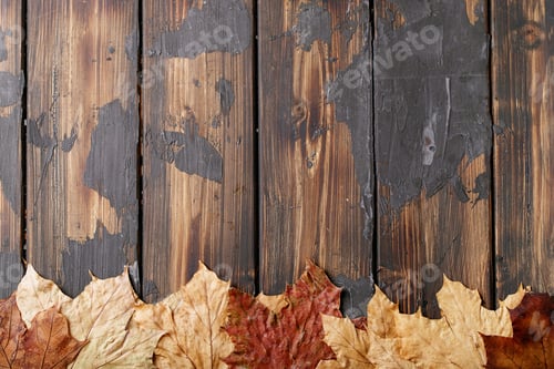 Preview: Autumn orange leaves