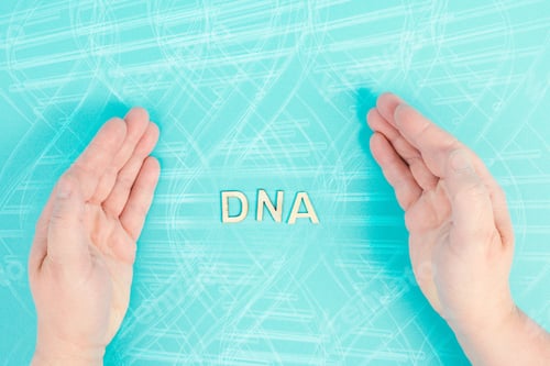 Preview: the word DNA is standing between the hands, genetic therapy and treatment, biotechnology in mordern
