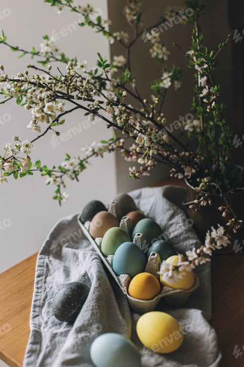 Preview: Easter eggs on rustic table with cherry blossoms. Happy Easter! Countryside still life