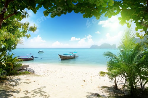 Preview: Long Boat On Phi Phi Island In Thailand