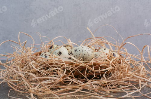 Preview: Bunch of quail eggs in wooden nest