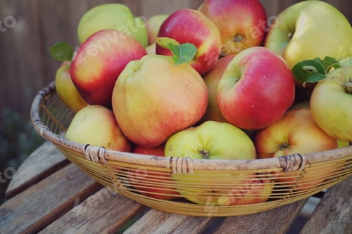 Preview: Wire basket filled with freshly picked red green apples on a wooden table outside