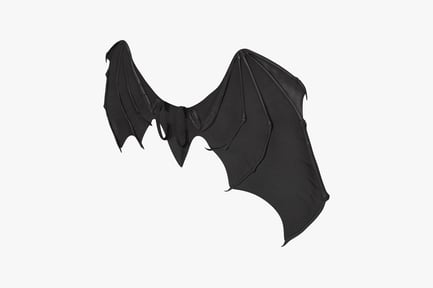 Preview: Outstretched bat wings with straps
