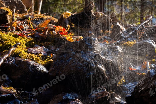 Preview: Rainstorm falling on stone in wilderness in sunlight