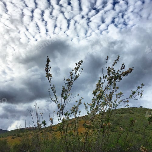 Preview: Taking a walk in Mission Trails, one of the largest urban parks in the United States