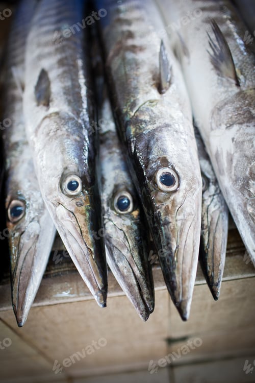 Preview: Close up of fish on display in a fish market (Muscat, Oman)