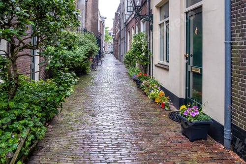 Preview: Leiden Netherlands, brick wall building, cobblestone path, parked bicycle, green plants, flowers.