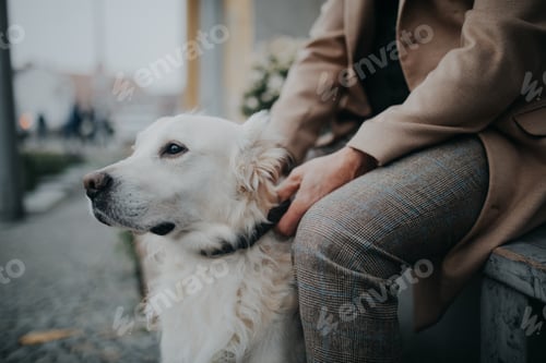 Preview: Midsection of unrecognizable senior man sitting on bench and resting during dog walk outdoors in