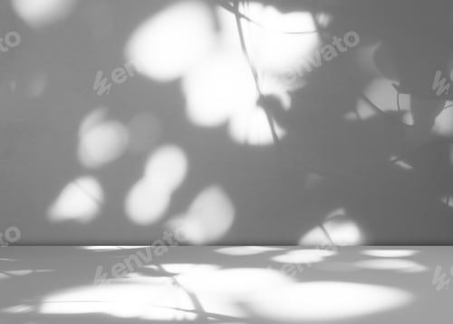 Preview: Background wall floor shadow grey leaf white