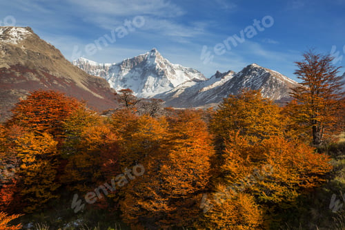 Preview: Autumn in Patagonia