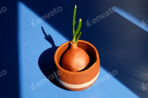 green onion in earthenware cup