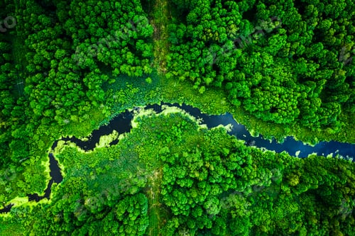 Preview: Amazing blooming algae on the river, flying above