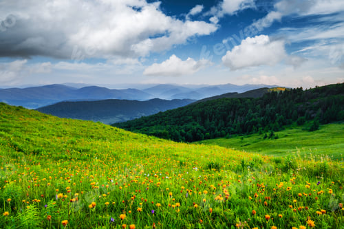 Preview: Amazing scene on summer mountains