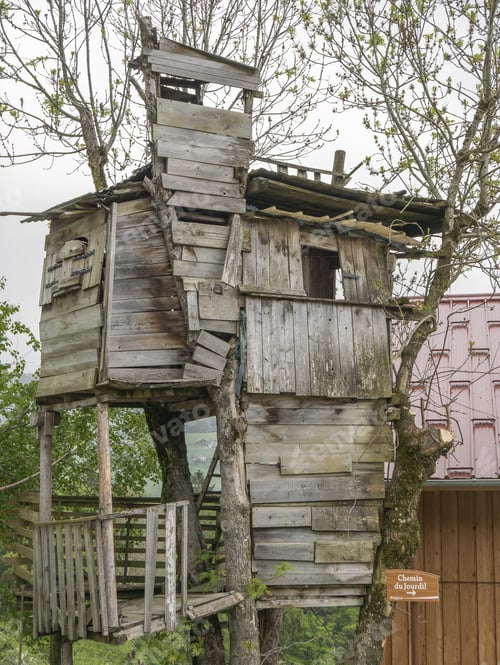 Preview: Vertical shot of a treehouse in the middle of a forest