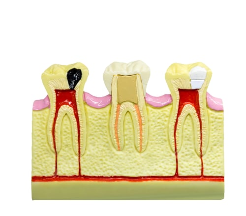 Preview: Professional dental technology, medicine equipment