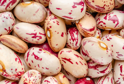 Preview: Macrophtography of kidney beans. Directly above, top view
