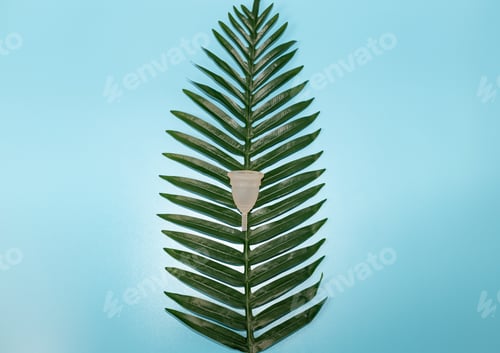 Preview: Menstrual cup and palm branch on a blue background.