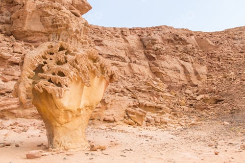 Preview: Mushroom rock. Egypt, desert, the Sinai Peninsula, Dahab.
