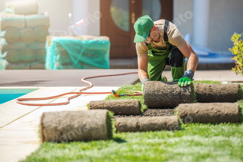 Preview: Professional Landscaper Installing New Grass Turfs in a Garden
