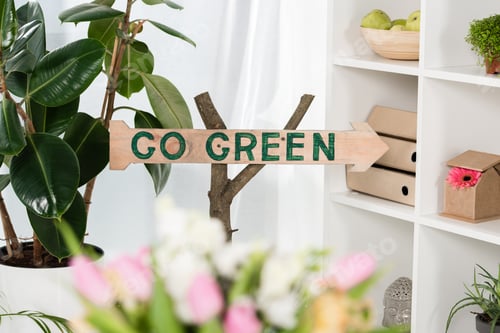 Preview: selective focus of wooden sign with go green lettering near plants in office, environmental saving
