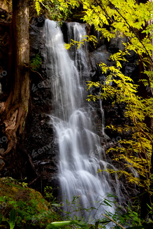 Preview: Casading waterfall