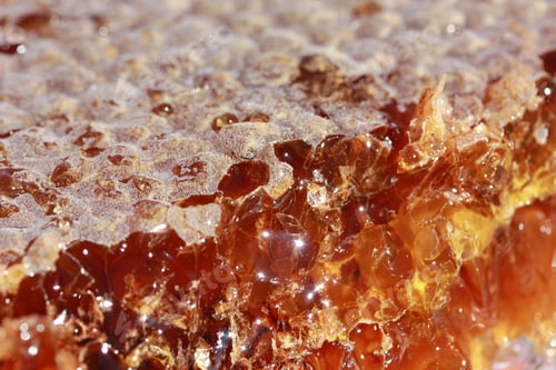 Preview: Close Up of Golden Honeycomb