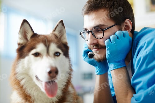 Preview: Dog and his doc