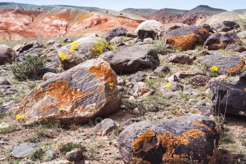 Preview: pile of stones covered with multi-colored moss. Rocky terrain. Dramatic tinting