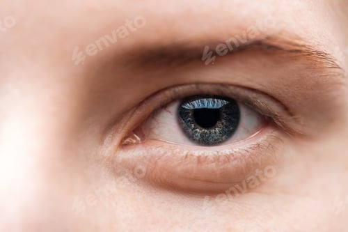 Preview: close up view of young woman grey eye with eyelashes and eyebrow