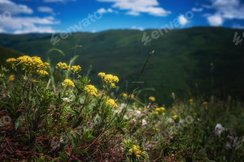 Preview: The beautiful green mountain on summer time