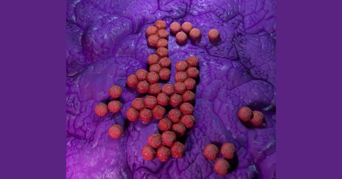 MRSA Bacteria: Microscopic View 3D, Incl. bacteria & cocci - Envato