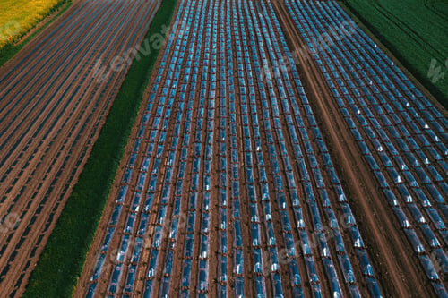 Preview: Aerial shot of plastic sheeting tunnel hothouse equipment on watermelon plantation from drone pov
