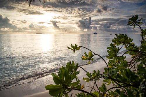 Preview: amazing sunset over the sea on a tropical island
