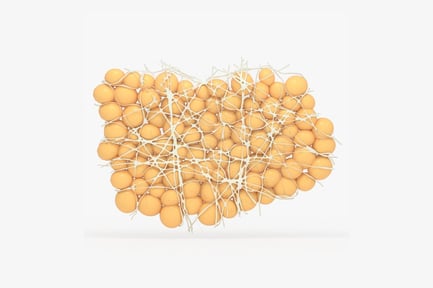 Preview: Adipocyte Cluster: White Adipose Tissue Structure