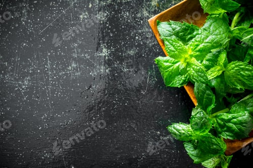 Preview: Healthy food. Fresh mint.